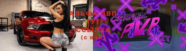 apvp Грязовец
