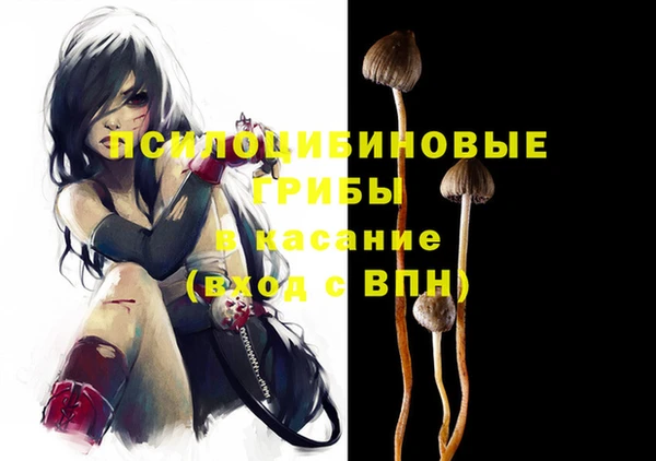 прущая мука Гатчина