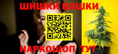 шишки Ставрополь