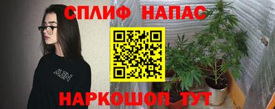 крисы Кимры