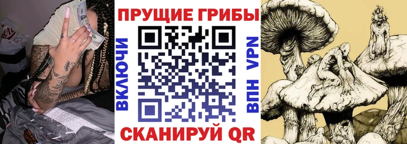 Галлюциногенные грибы Psilocybine cubensis  Киреевск 