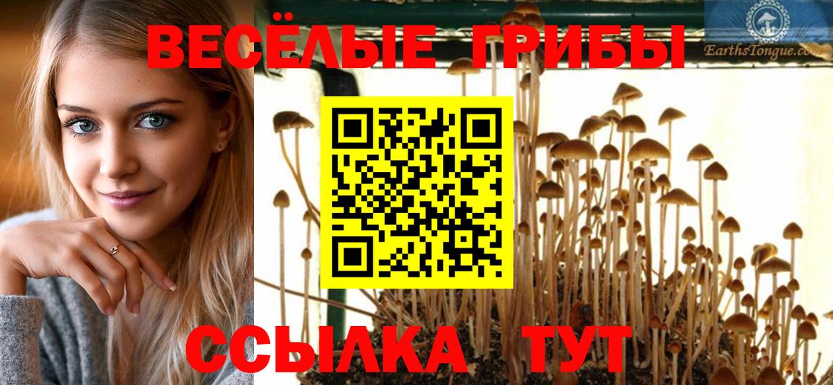 Киреевск  Псилоцибиновые грибы мицелий  Вход с VPN  Псилоцибиновые грибы мухоморы 